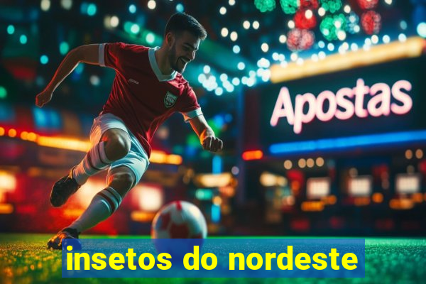 insetos do nordeste